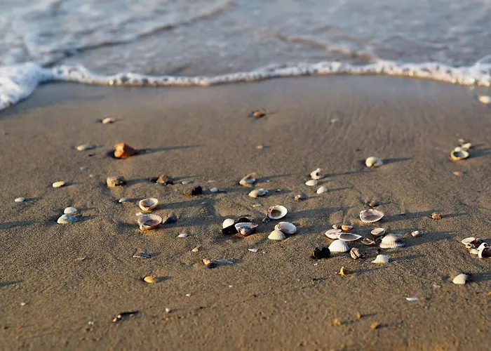 Spacious Flat With A Bright Terrace Lägenhet *